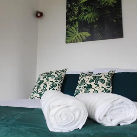 Paul Sabatier-t1-vue Sur Jardin-luxe-wifi-fi-velo Apartamento Castelnaudary