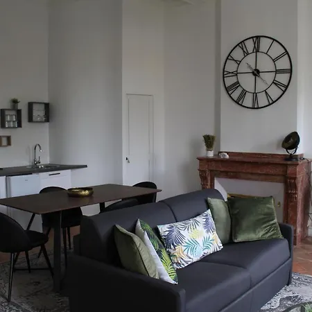 Apartamento Paul Sabatier-t1-vue Sur Jardin-luxe-wifi-fi-velo