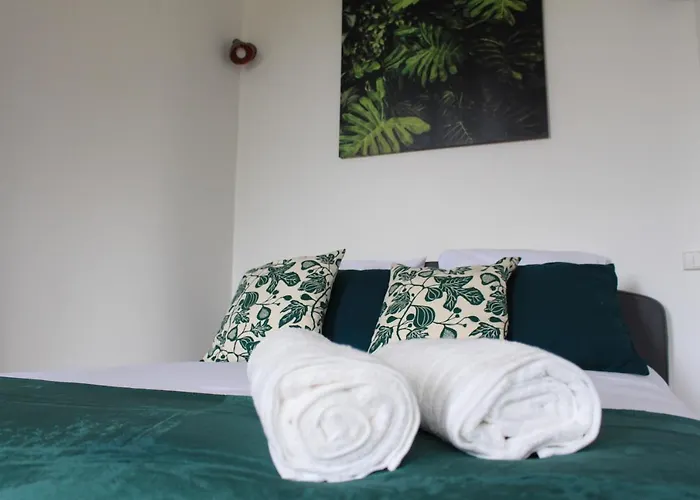 Paul Sabatier-t1-vue Sur Jardin-luxe-wifi-fi-velo Apartamento Castelnaudary