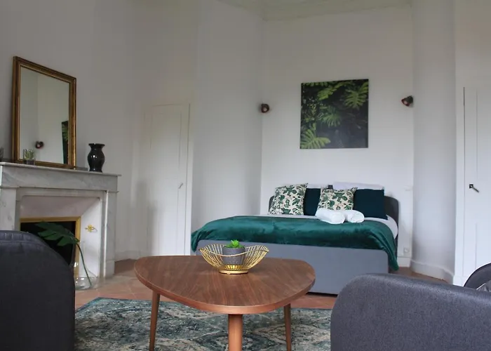 Paul Sabatier-t1-vue Sur Jardin-luxe-wifi-fi-velo *