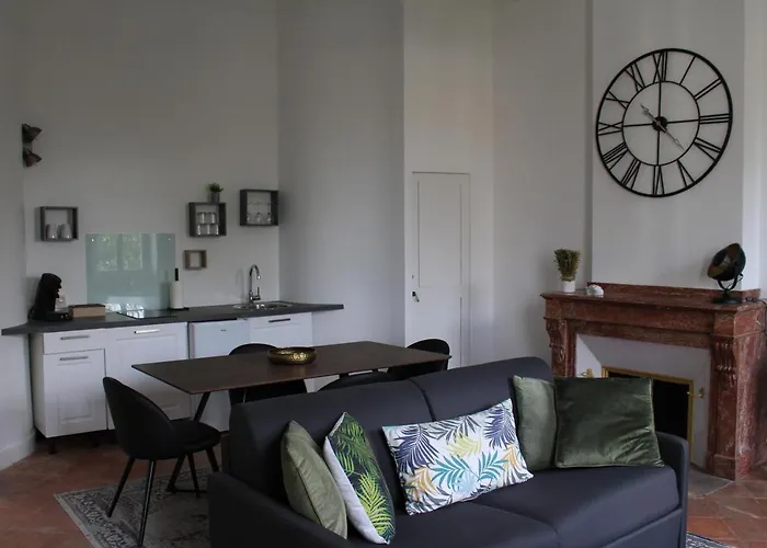 Paul Sabatier-t1-vue Sur Jardin-luxe-wifi-fi-velo Apartamento *